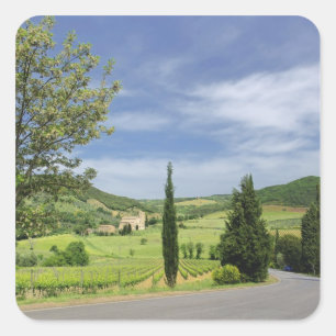 Country road curving between cypress trees in square sticker