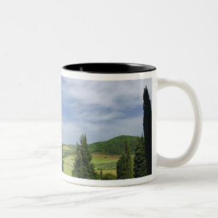Country road curving between cypress trees in Two-Tone coffee mug