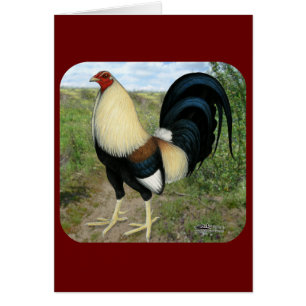 Country Road Gamecock