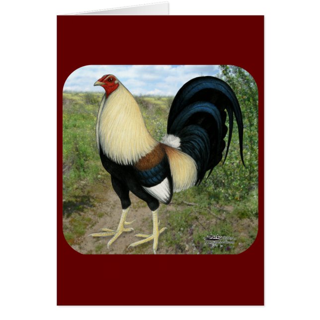 Country Road Gamecock (Front)