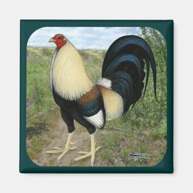 Country Road Gamecock Magnet (Front)