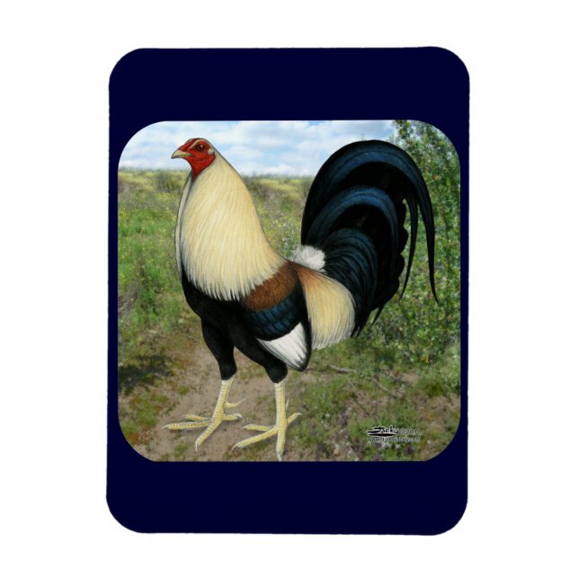 Country Road Gamecock Magnet (Vertical)
