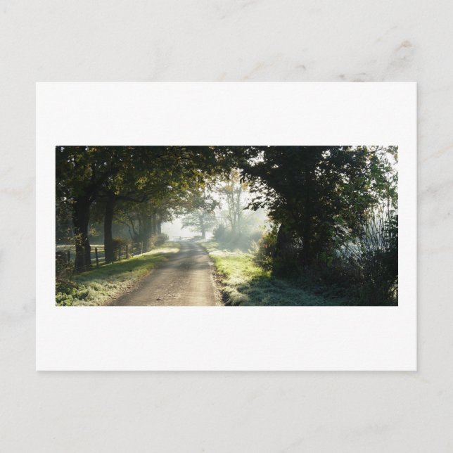 Country Road in Cheshire Postcard (Front)