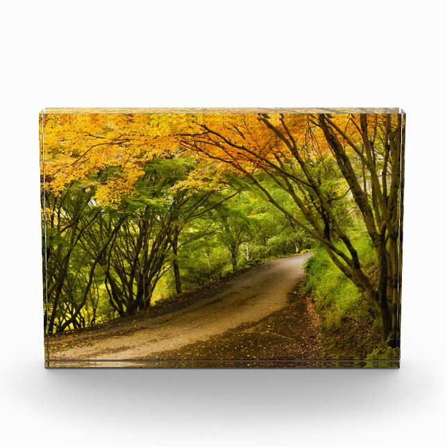 Country Road in the Fall Photo Block (Front)