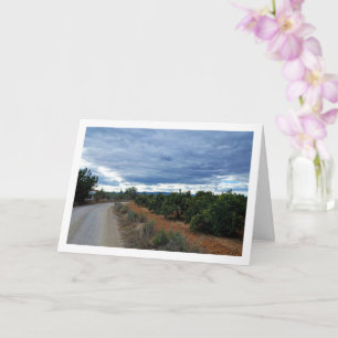 Country Road Landscape Card