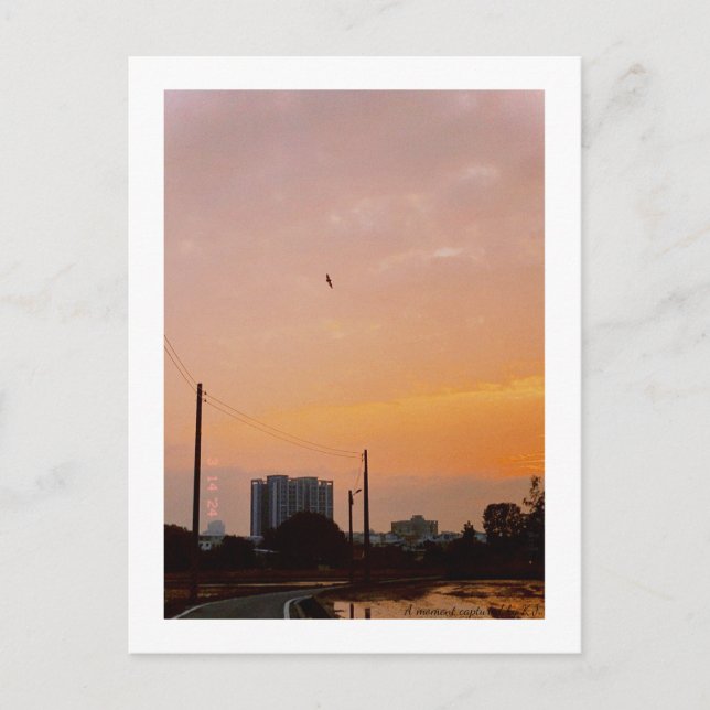 country road sunset Spring  Postcard (Front)