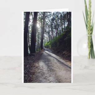 Country road through forest card