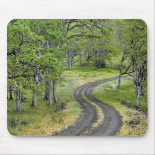 Country road through trees, Oregon Mouse Mat