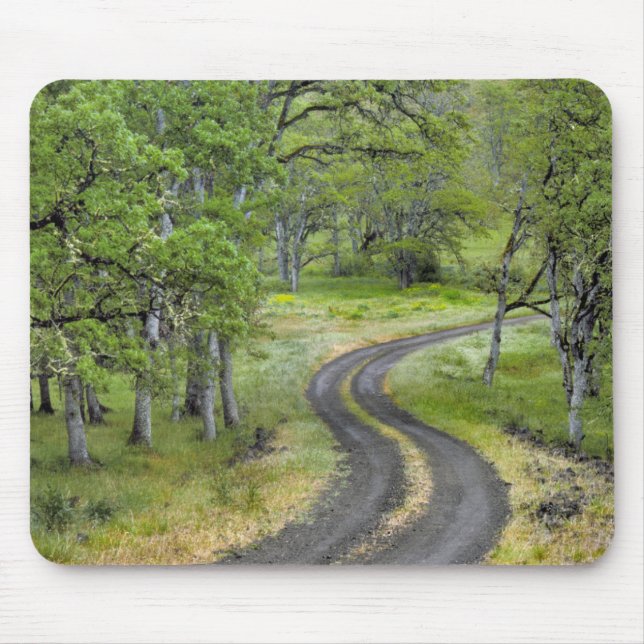 Country road through trees, Oregon Mouse Mat (Front)