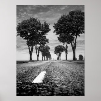 Country Road with Tree Lined Perspective Poster