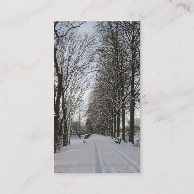 Country Road with Trees and Snow Photo Card (Front)