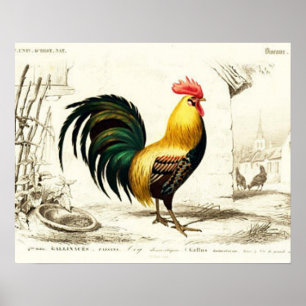 Country Rooster Vintage home wall decor