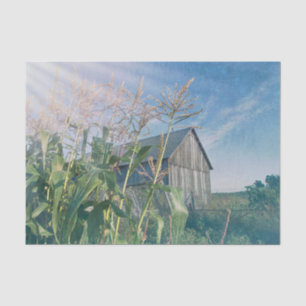 Country Rustic Barn Blue Sky Sun Rays Tissue Paper