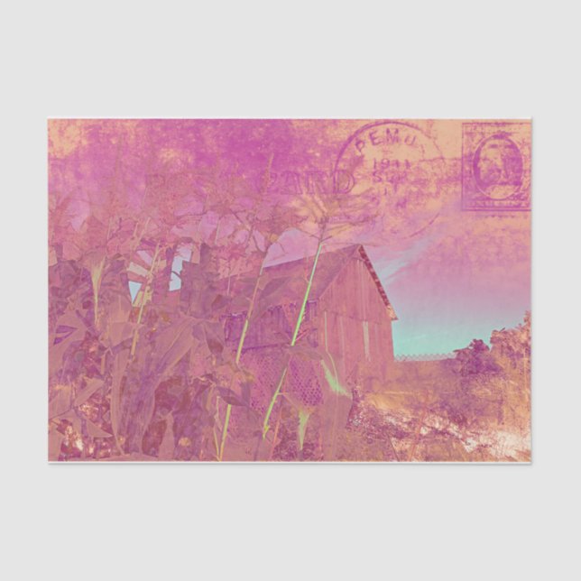 Country Rustic Barn Pink Yellow Ephemera Script Tissue Paper (Front)