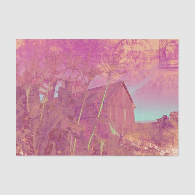 Country Rustic Barn Pink Yellow Ephemera Script Tissue Paper (Front)