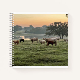 Country Scene Spiral Notebook