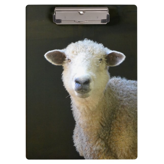 Country Sheep Clipboard (Front)