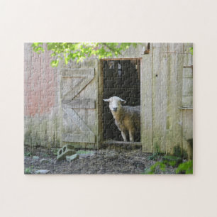Country Sheep Jigsaw Puzzle