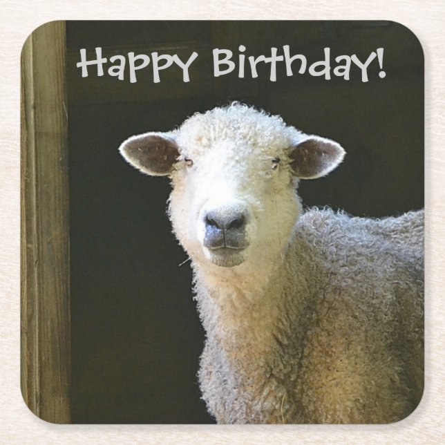 Country Sheep Party Square Paper Coaster (Front)