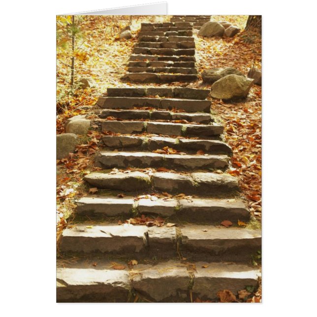 Country Stairway (Front)