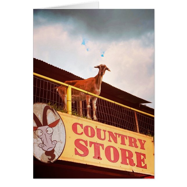 country store goat on the roof (Front)
