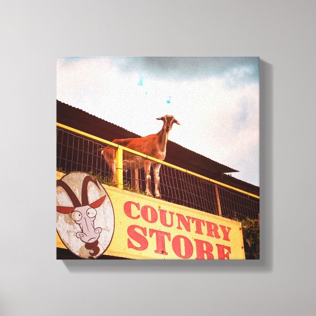 country store goat on the roof canvas print (Front)