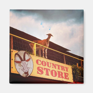 country store goat on the roof magnet