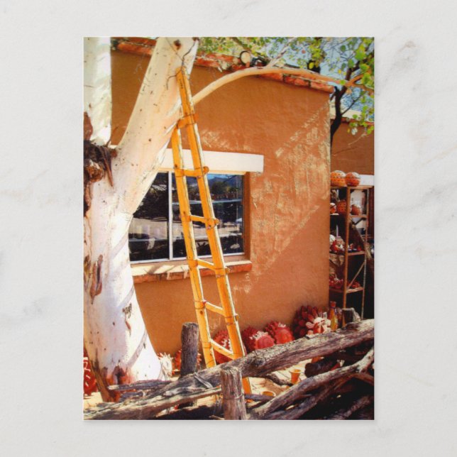 Country Store, Tubac, Arizona Postcard (Front)
