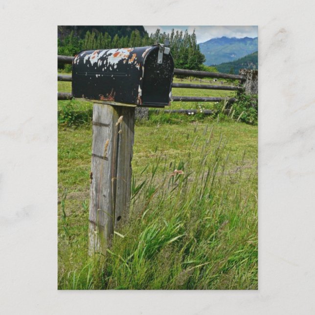 Country Style Metal Mailbox Postcard (Front)