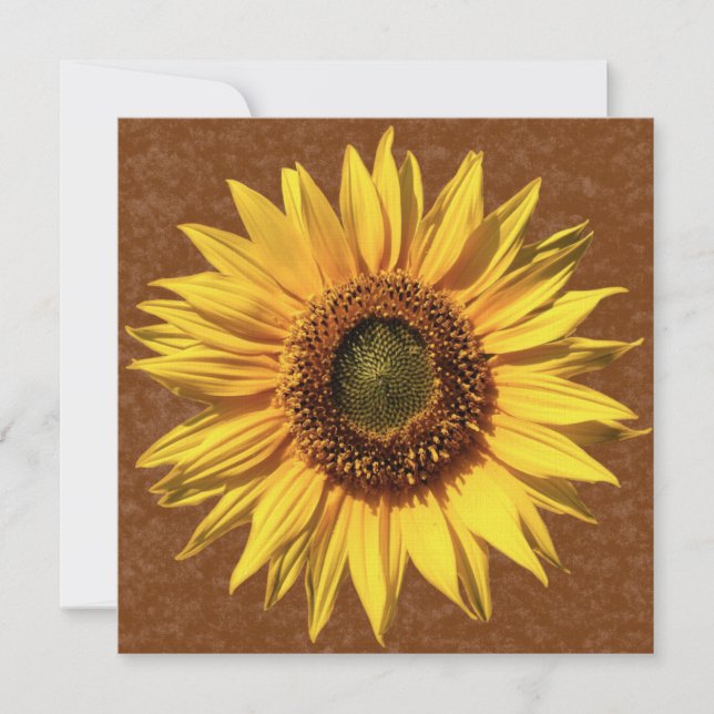 Country Sunflower Brown Bridal Shower Invitation (Front)