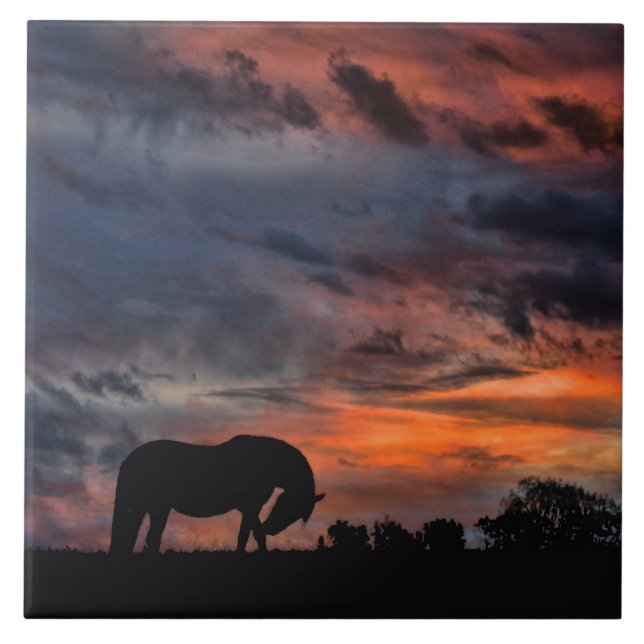 Country Sunrise Tile (Front)