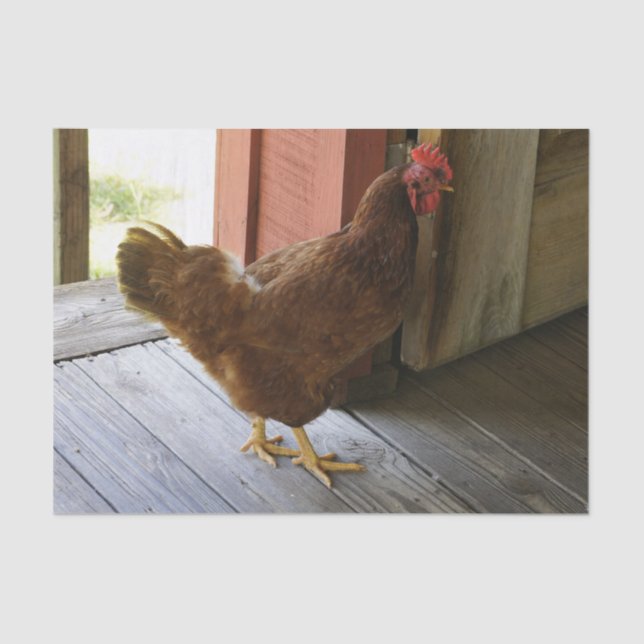 Country Tissue Paper (Front)