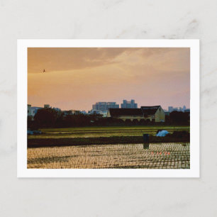 country vibe sunset Spring  Postcard