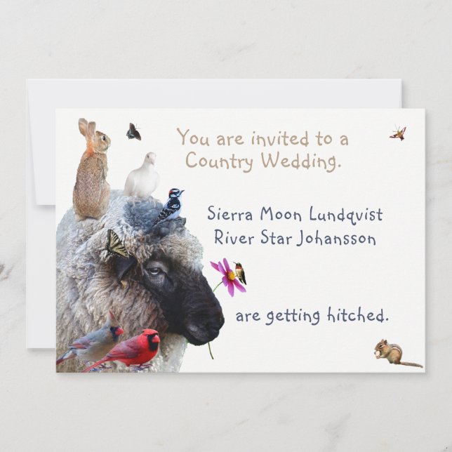 Country Wedding or Engagement: invitations (Front)
