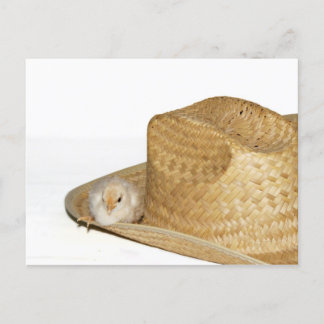 Country Western Easter postcard