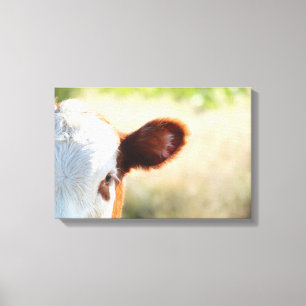 Country White And Brown Cow In Green Meadow Canvas Print