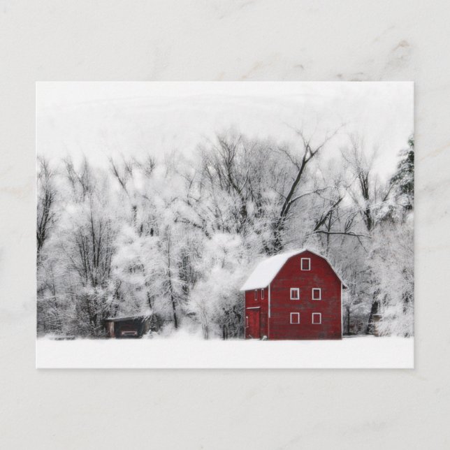 Country winter , postcard (Front)