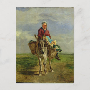 Country Woman Riding a Donkey Postcard