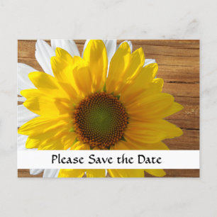 Country Wood Sunflower Daisy Save the Date Announcement Postcard