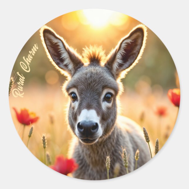 Countryside donkey curious eyes peaceful art classic round sticker (Front)