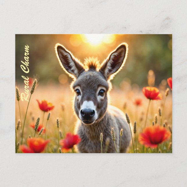 Countryside donkey curious eyes peaceful art postcard (Front)