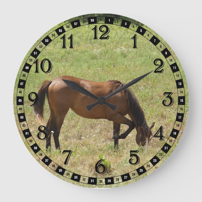 Countryside Horse Colt Foal Baby Eating Grass Large Clock (Front)