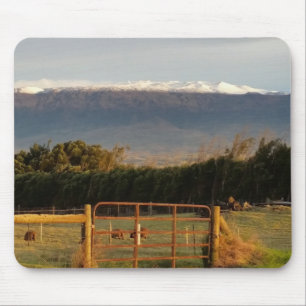 Countryside in Kamuela Mouse Mat