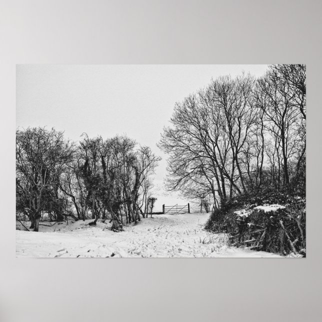 Countryside in the Snow Poster (Front)