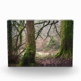 Countryside Magic Photo Block