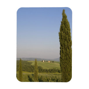 Countryside near Pienza. Val d'Orcia, Siena Magnet