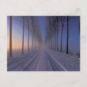 Countryside Nearby Castagnole   Piedmont Italy Postcard