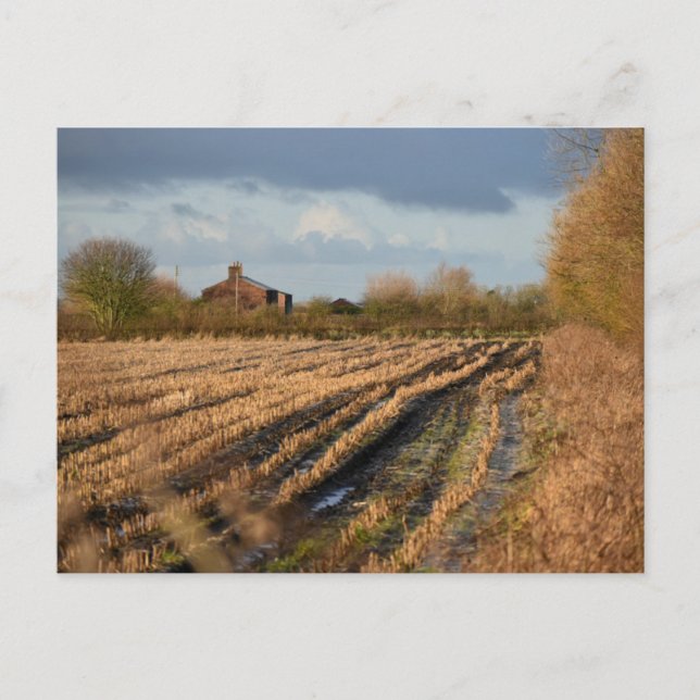 Countryside  postcard (Front)