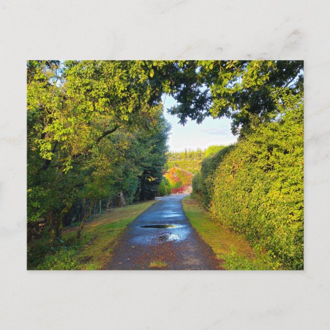 Countryside  postcard (Front)