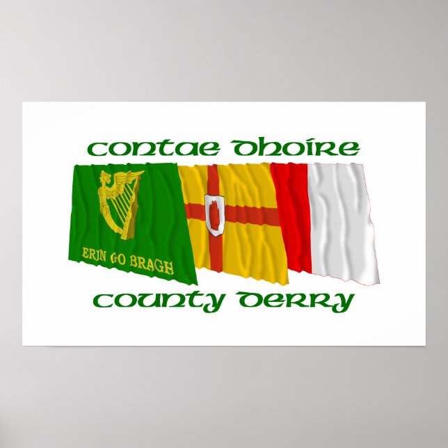 County Derry Flags Poster (Front)
